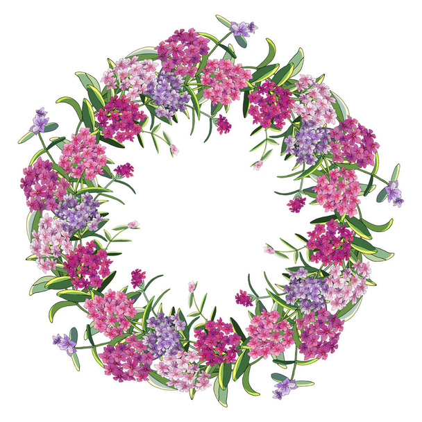 Floral wreath of phlox flowers isolated on white. Excellent print for greeting cards, clothes, fabric, gift box. - ベクター画像