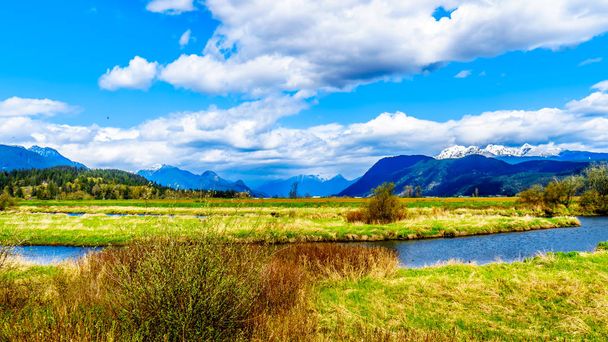 Az Alouette folyó látható a gát a Pitt Polder közelében Maple Ridge, British Columbia, Kanada, a Golden fül-hegy, a háttérben: - Fotó, kép