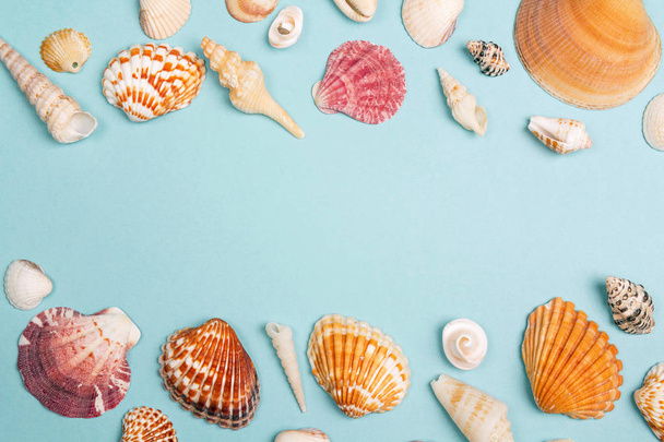 Background with frame of seashells on blue. Place for text. Top view with copy space. - Fotografie, Obrázek