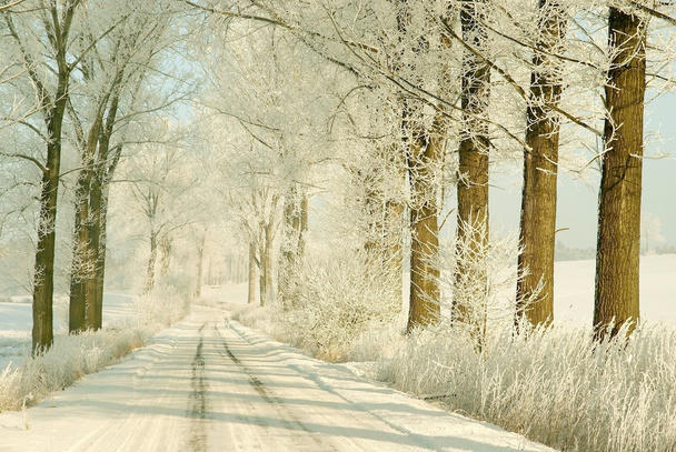 Estrada de inverno ao nascer do sol
 - Foto, Imagem
