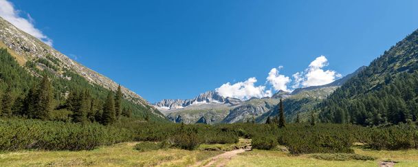 Peak of Care Alto (3462 m) in the National Park of Adamello Brenta seen from the Val di Fumo. Trentino Alto Adige, Italy, Europe - Photo, Image