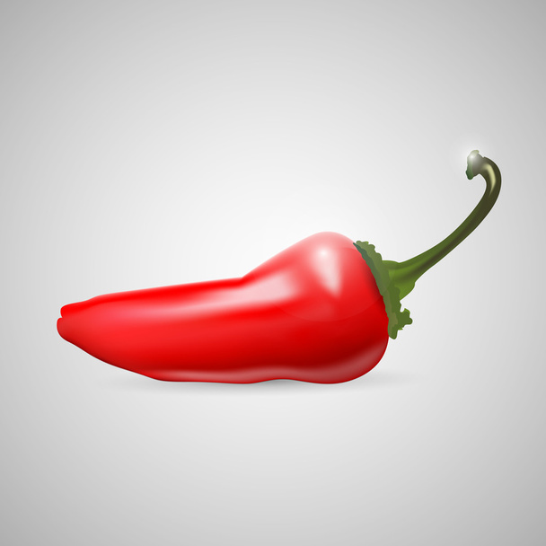 Punainen kuuma chili pippuri - vektori kuvitus
 - Vektori, kuva