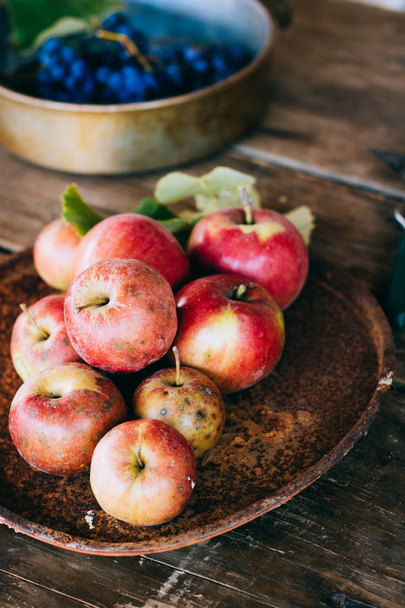 frische rote Äpfel in einem rostigen Tablett, Trauben in einer Stahlschale, auf altem Holzgrund. - Foto, Bild