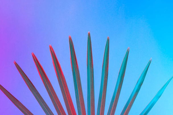 Tropical leaf in vibrant bold gradient holographic neon colors, Concept art, Minimal surrealism background  - Photo, Image