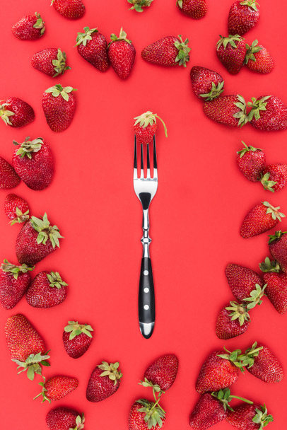 Fork in frame of strawberries isolated on red background - Photo, image