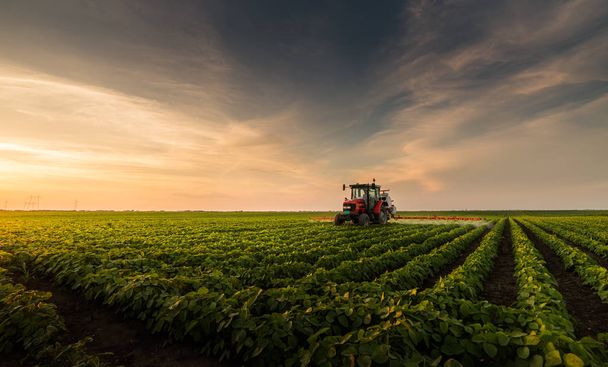 Ciągnika rozpylania pestycydów na soi pole opryskiwaczem w spring - Zdjęcie, obraz