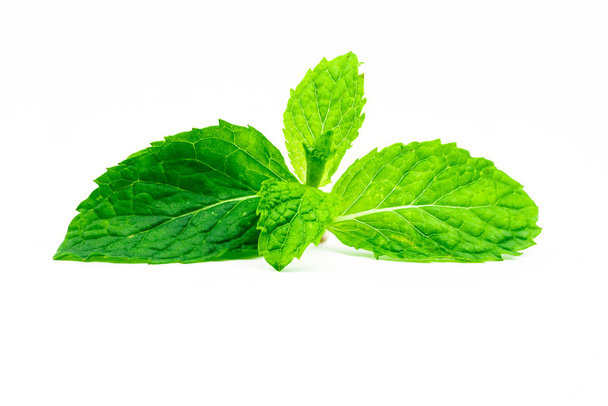 Kitchen mint leaf isolated on white background. Green peppermint natural source of menthol oil. Thai herb for food garnish. Herb for anti-flatulence and make confident fresh breath.  - Photo, Image