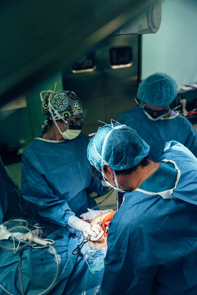 Team of Surgeons Operating in the Hospital. - Zdjęcie, obraz