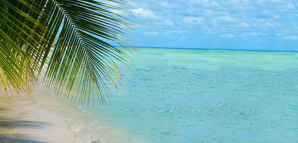 Tropikalne tło plaży - Zdjęcie, obraz