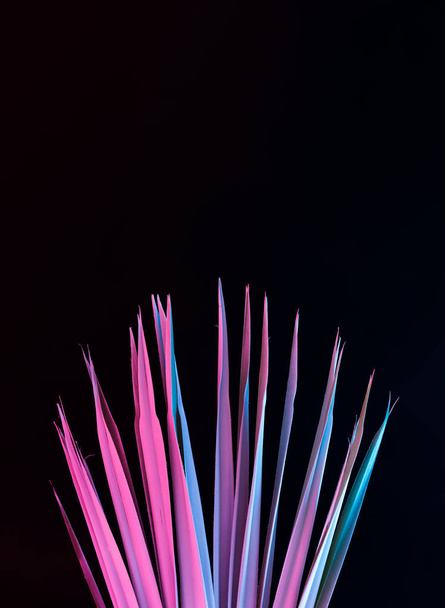 Folha tropical em vibrante negrito gradiente holográfico neon cores, arte conceitual, fundo surrealismo mínimo
  - Foto, Imagem