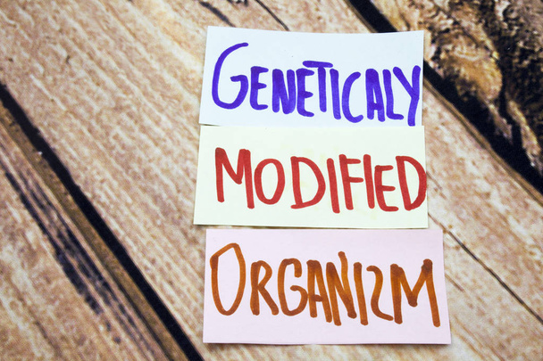 GMO lub geneticaly zmodyfikowany organizm odręczny znak na białym papierze retro drewniane tła. Wiadomości na temat zdrowia i gmo. Degradowalne pojęciowy rolnictwa. - Zdjęcie, obraz