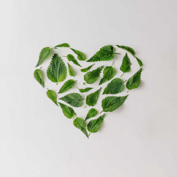 Creative nettle leaves in heart shape, Minimal nature love concept  - Foto, imagen