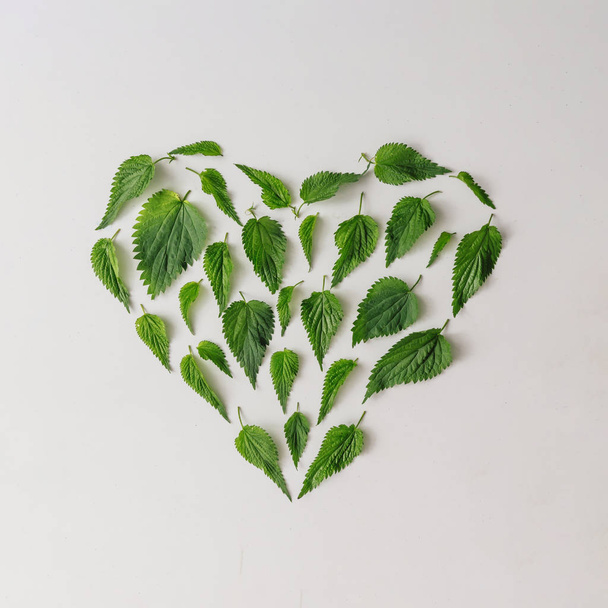 Kreatív csalán levelei szív alakú, minimális természet szeretet fogalma  - Fotó, kép