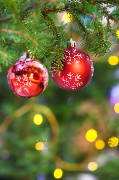 Joulun tausta - kaksi punaista palloa tuoreen kuusen joulukuusen oksalla sisätiloissa
 - Valokuva, kuva