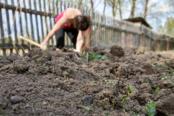 田舎で庭のベッドを掘る女 - 写真・画像
