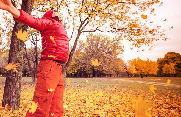 Осенняя сцена в желтых тонах - Фото, изображение