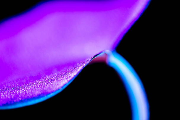 imagen tonificada de hoja tropical púrpura, aislada en negro
 - Foto, imagen