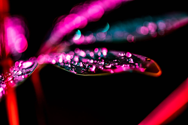 close up de folha de schefflera com filtro de cor rosa, isolado em preto
 - Foto, Imagem