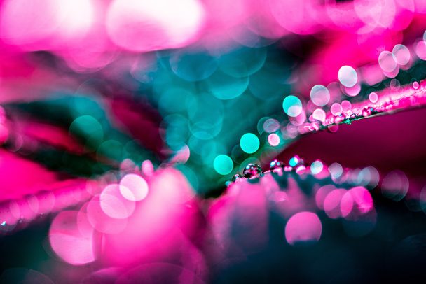 enfoque selectivo de textura con hoja verde con gotas de agua rosa
 - Foto, imagen
