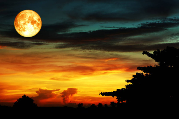 Super krwi księżyc i sylwetka chmura drzewo, elementy zdjęcie dostarczone przez Nasa - Zdjęcie, obraz