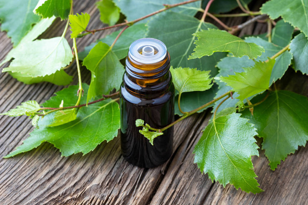 Темная бутылка эфирного масла с молодыми березовыми ветвями
 - Фото, изображение