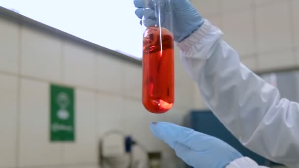 化学ビーカー色液体科学 - 映像、動画