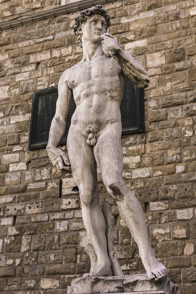 Riproduzione della statua di Michelangelo David davanti a Palazzo Vecchio a Firenze
 - Foto, immagini