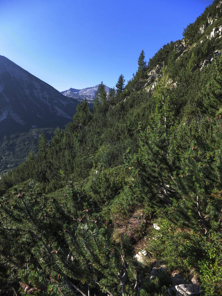 Paysage étonnant avec Banderishki Chukar Peak, Pirin Mountain, Bulgarie - Photo, image