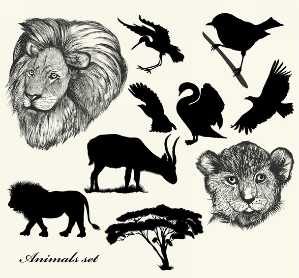 Collection of hand drawn animals and silhouettes - Vektor, Bild