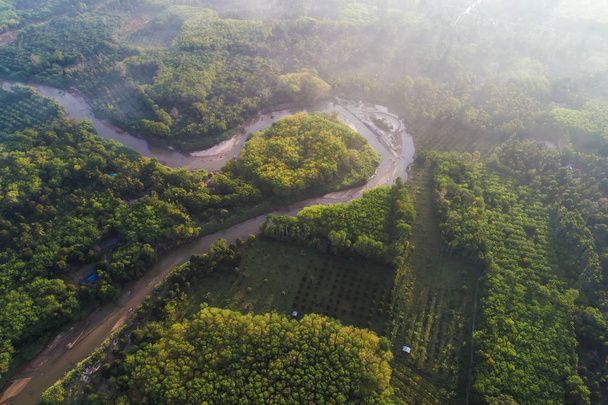 Глибокі дощові ліси з річкою вранці над безпілотником
 - Фото, зображення