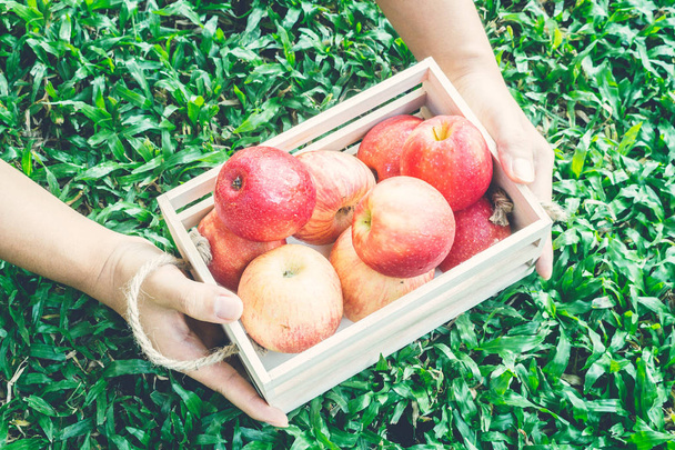 Basket with apples on green grass - Valokuva, kuva