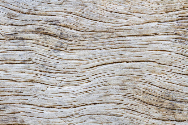 Natural wood texture background. old wooden background. - Foto, afbeelding