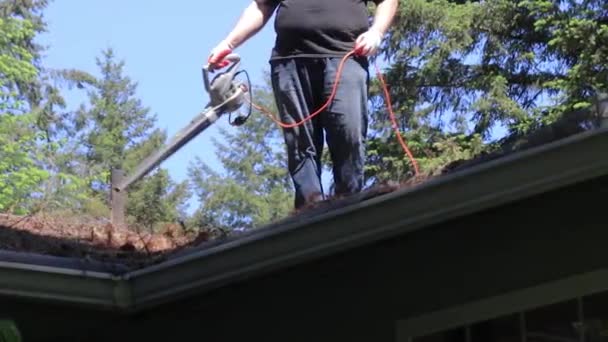 屋根を吹く男 - 映像、動画