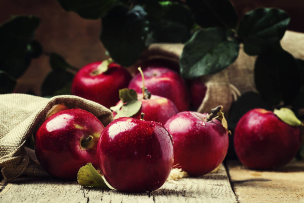 Red autumn apples with drops on rustic wooden background, selective focus - 写真・画像