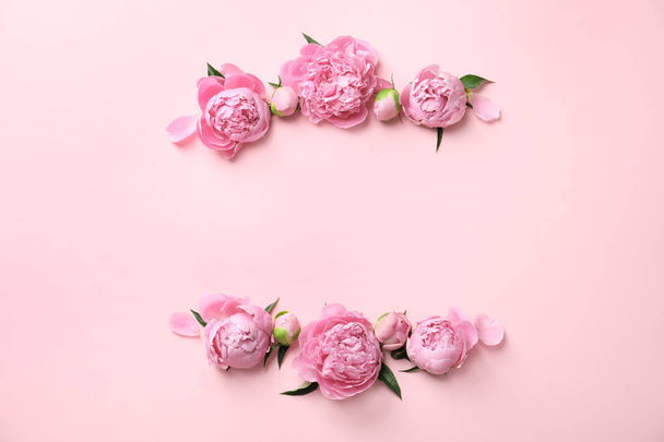 Beautiful fragrant peony flowers on color background - Zdjęcie, obraz
