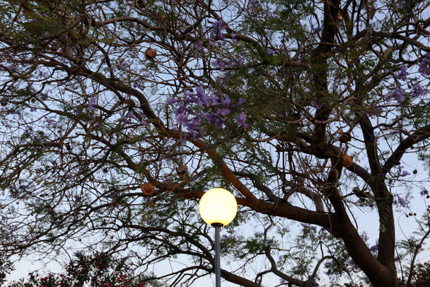 a pole egy elektromos lámpa lóg, és ragyog éjjel  - Fotó, kép
