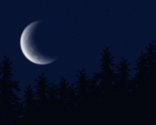 Éjszakai égbolton a csillagok és a Hold feletti csúcsok a tűlevelű fák - vektor - Vektor, kép