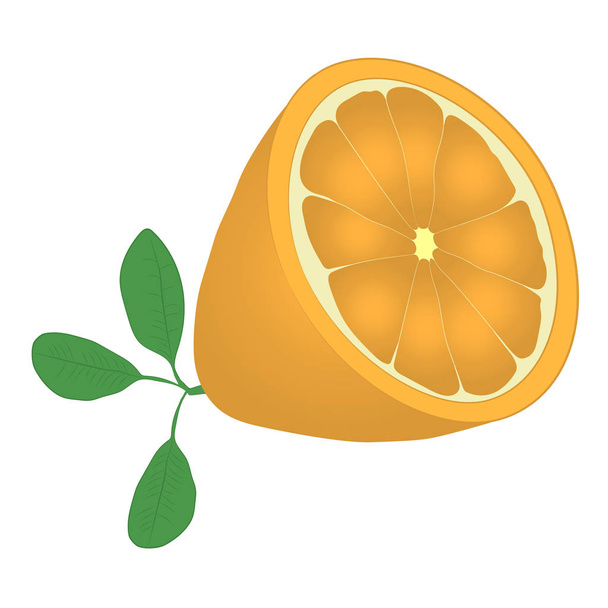 Иллюстрация вектора апельсина
 - Вектор,изображение