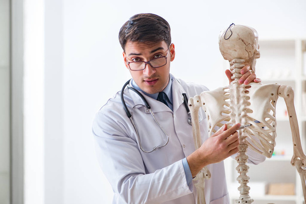 Yong médico masculino con esqueleto aislado en blanco - Foto, Imagen