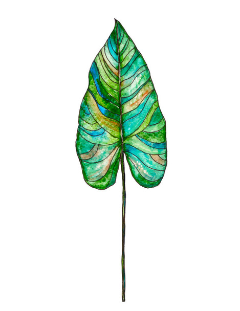 Φύλλα ακουαρέλας φοίνικα διάνυσμα - Διάνυσμα, εικόνα