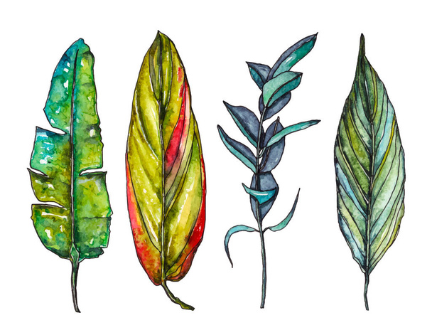 Vector watercolor palm leaves - Вектор,изображение