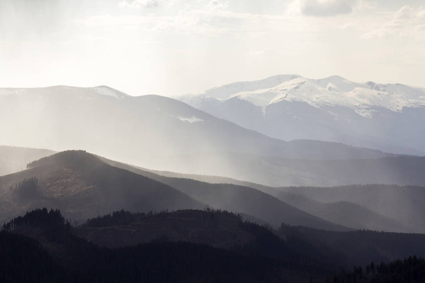 壮大なの霧カルパティア山脈の景色は霧の静かな朝や夜暗い曇り空の下に今まで森で覆われて。距離に雪をかぶった山トップ. - 写真・画像