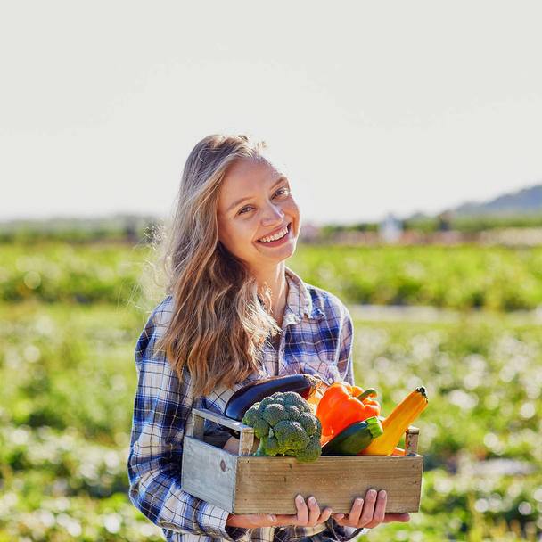Beautiful young woman picking ripe organic vegetables in wooden crate in orchard or on farm on a fall day - Foto, Bild
