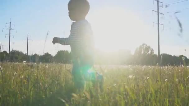 der glückliche Junge, der mit einer weißen Löwenzahnblüte in der Hand nahe der Hochspannungsleitung geht - Filmmaterial, Video