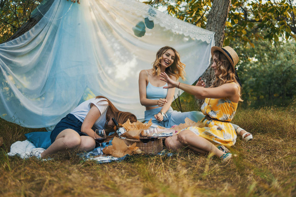 Skupina přátel dívek dělat piknik venkovní. Mají fun - Fotografie, Obrázek