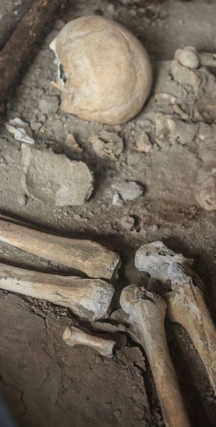 Древние кости в Помпеях
 - Фото, изображение