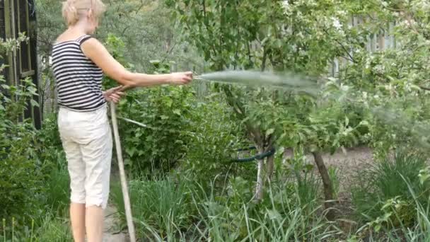 Mujer está regando plantas en su jardín de una manguera
 - Metraje, vídeo