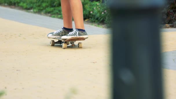 Ragazzo con Skate Board
. - Filmati, video