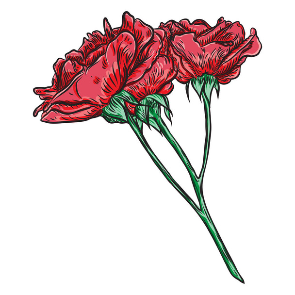 Beautiful red rose branch stem bouquet with roses and leaves. Floral arrangement. Vector. - ベクター画像