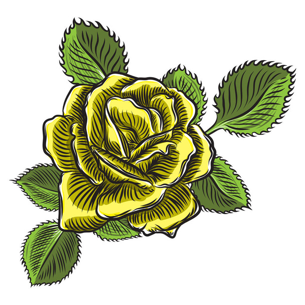 Beautiful yellow rose with green leaves isolated on white background. Element for design of greeting card and invitation for the wedding, birthday, Valentine' s Day, mother' s day. Vector. - Vettoriali, immagini
